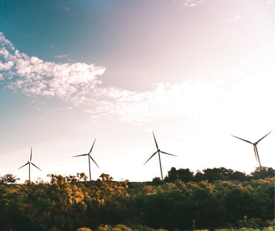 éoliennes dans un champ pour démontrer une initiative de développement durable
